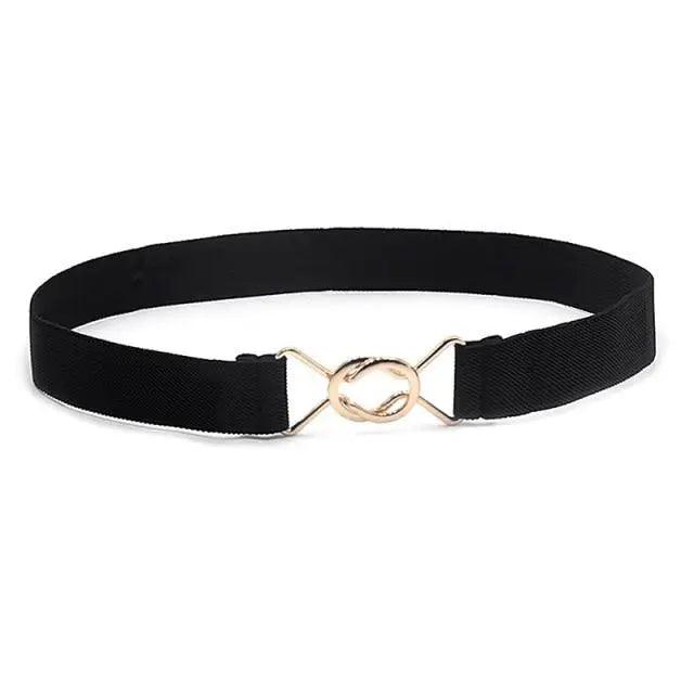 Elegant Wide Fabric Strap  Silver Metal Buckle Belts For Women Trendy Women's Fashion Stretchable Classic Color Belts